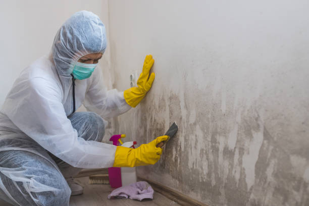 Best Commercial Mold Removal  in Pryor Creek, OK