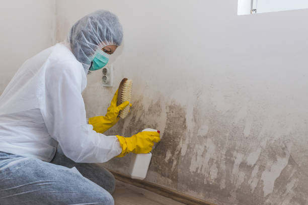 Best Mold Cleaning Services  in Pryor Creek, OK