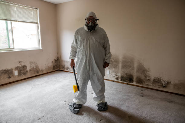 Best Mold Removal Company Near Me  in Pryor Creek, OK